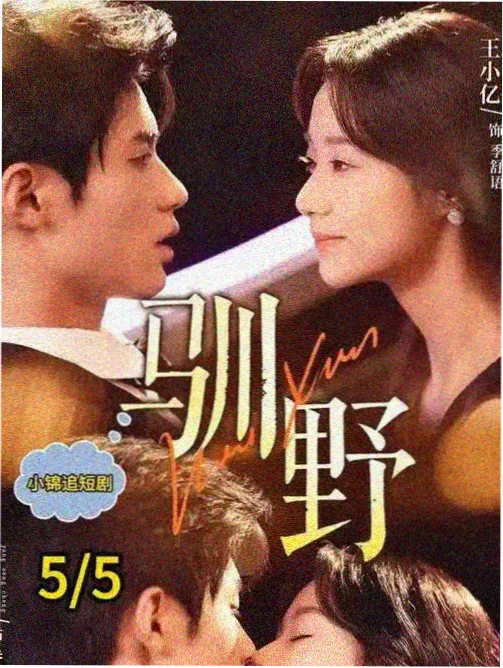 迷你剧封套与燕麦白货架的背景纹样